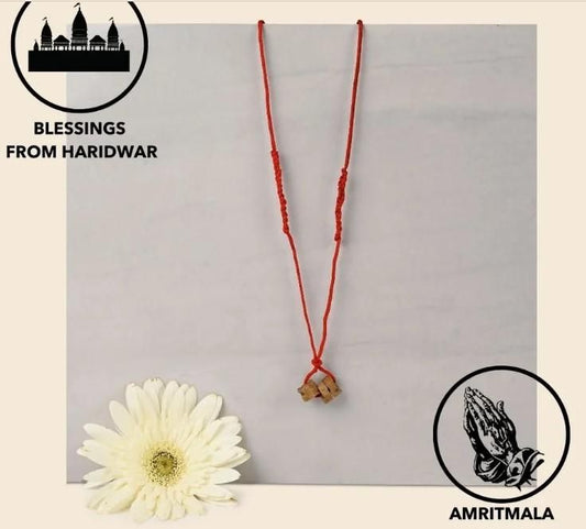 Amritmala Pure Herb